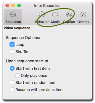 Info palette, global video settings